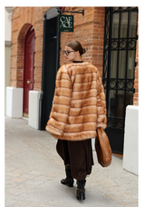 Gradient Fur - Amber